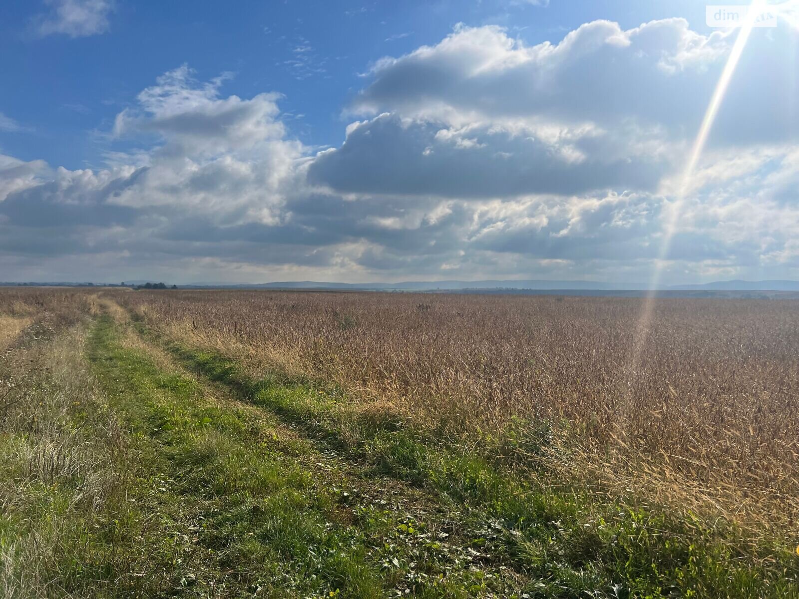 Аренда земли сельскохозяйственного назначения в Давыдове, цена: 59 605 грн за объект фото 1 Аренда земли сельскохозяйственного назначения в Давыдове, цена: 59 605 грн за объект фото 1