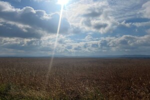 Аренда земли сельскохозяйственного назначения в Давыдове, цена: 59 605 грн за объект фото 2 Аренда земли сельскохозяйственного назначения в Давыдове, цена: 59 605 грн за объект фото 2