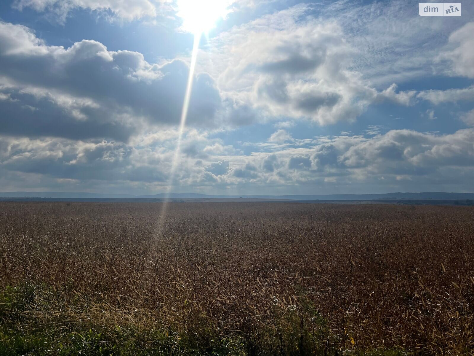 Аренда земли сельскохозяйственного назначения в Давыдове, цена: 59 605 грн за объект фото 1 Аренда земли сельскохозяйственного назначения в Давыдове, цена: 59 605 грн за объект фото 1
