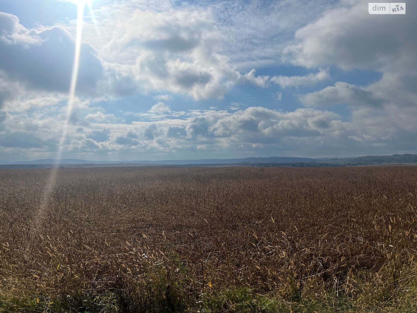 Аренда земли сельскохозяйственного назначения в Давыдове, цена: 59 605 грн за объект фото 1 Аренда земли сельскохозяйственного назначения в Давыдове, цена: 59 605 грн за объект фото 1