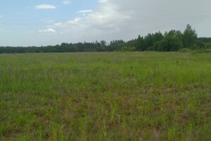 Аренда земли сельскохозяйственного назначения в Диброве, цена: 15 517 грн за объект фото 1