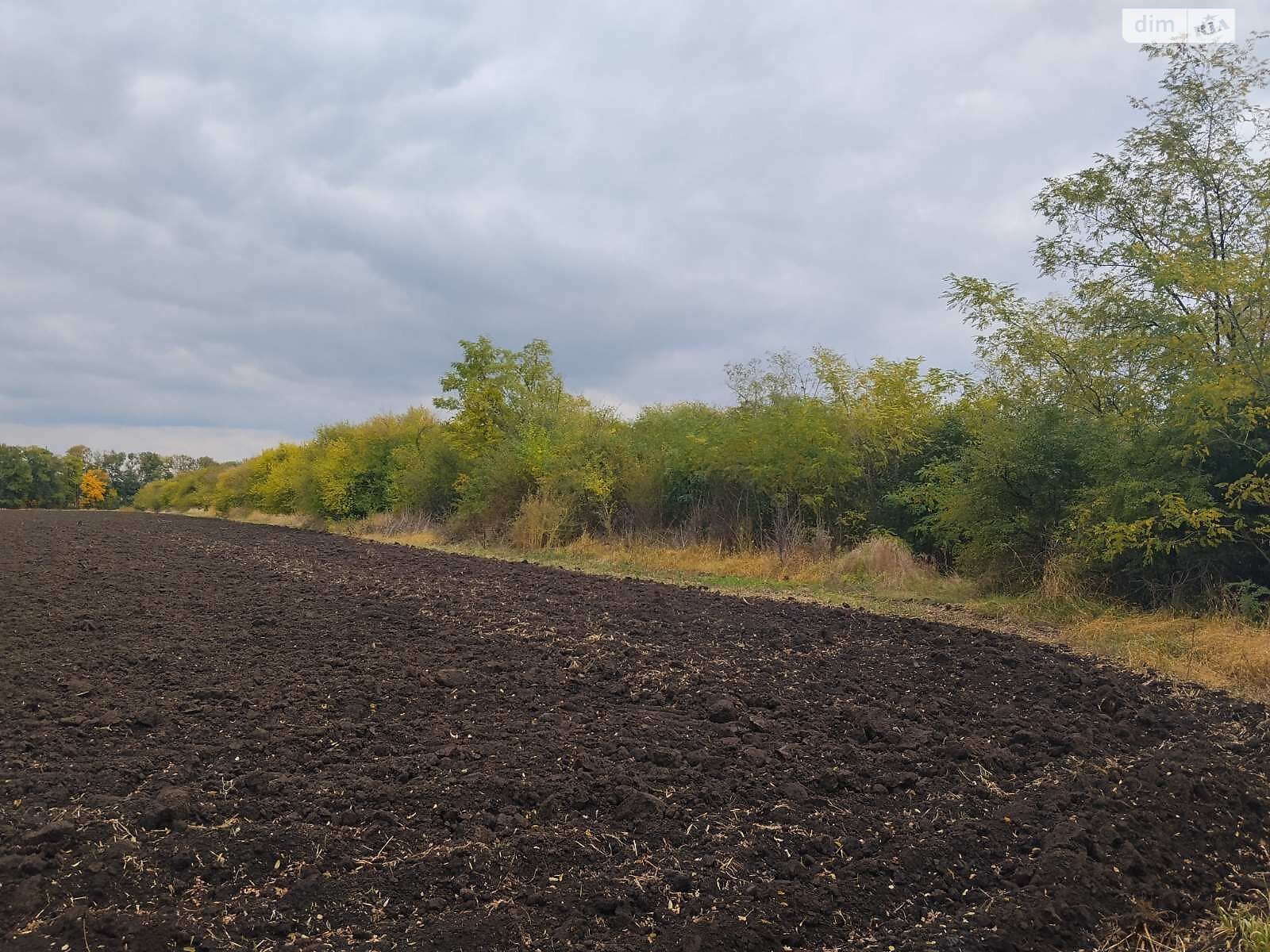 Оренда землі сільськогосподарського призначення в Дмитрівці, ціна: 77 250 грн за об’єкт фото 1
