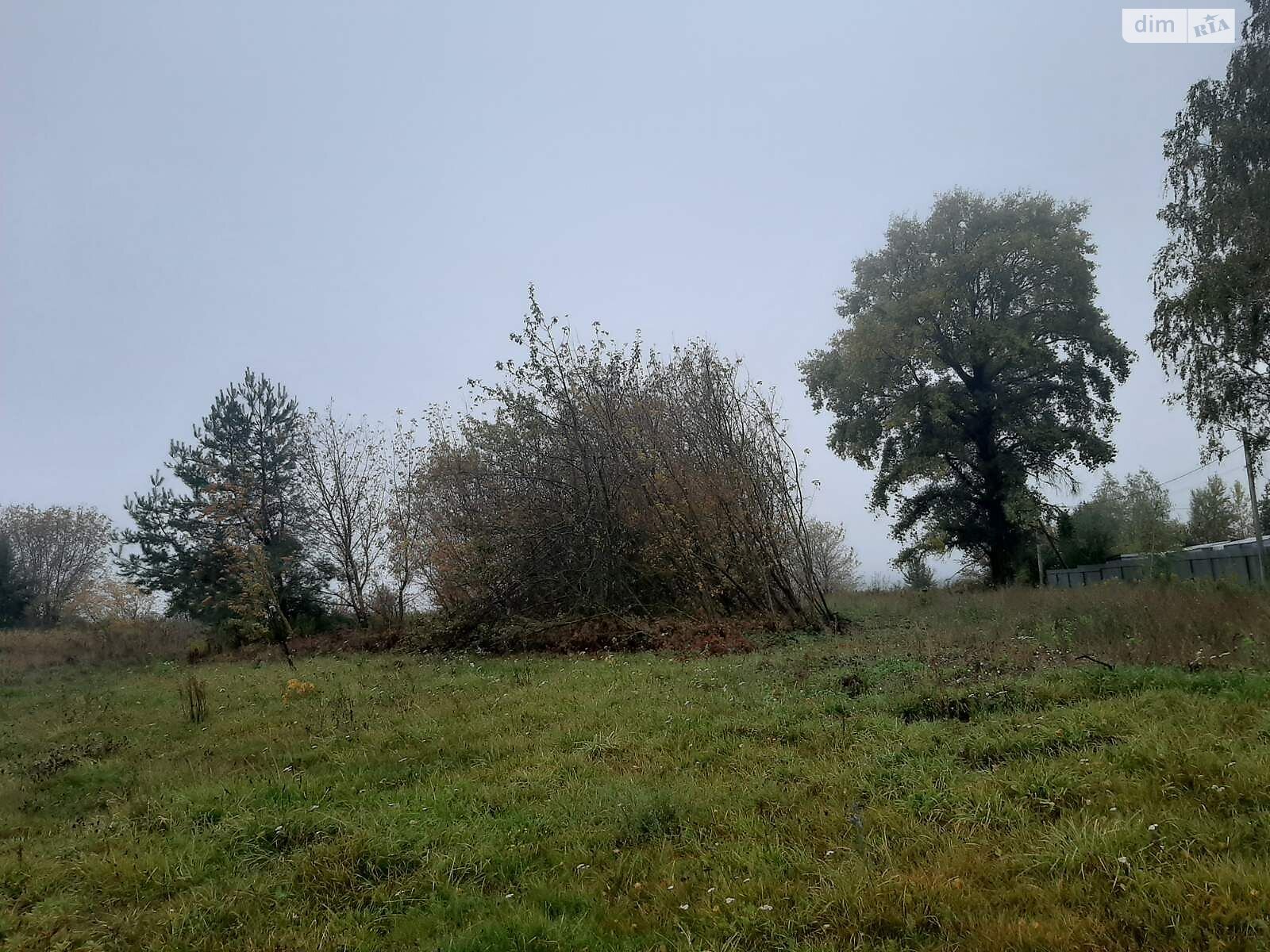 Аренда земли сельскохозяйственного назначения в Добрине, цена: 3 520 грн за объект фото 1