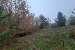 Аренда земли сельскохозяйственного назначения в Добрине, цена: 3 520 грн за объект фото 2