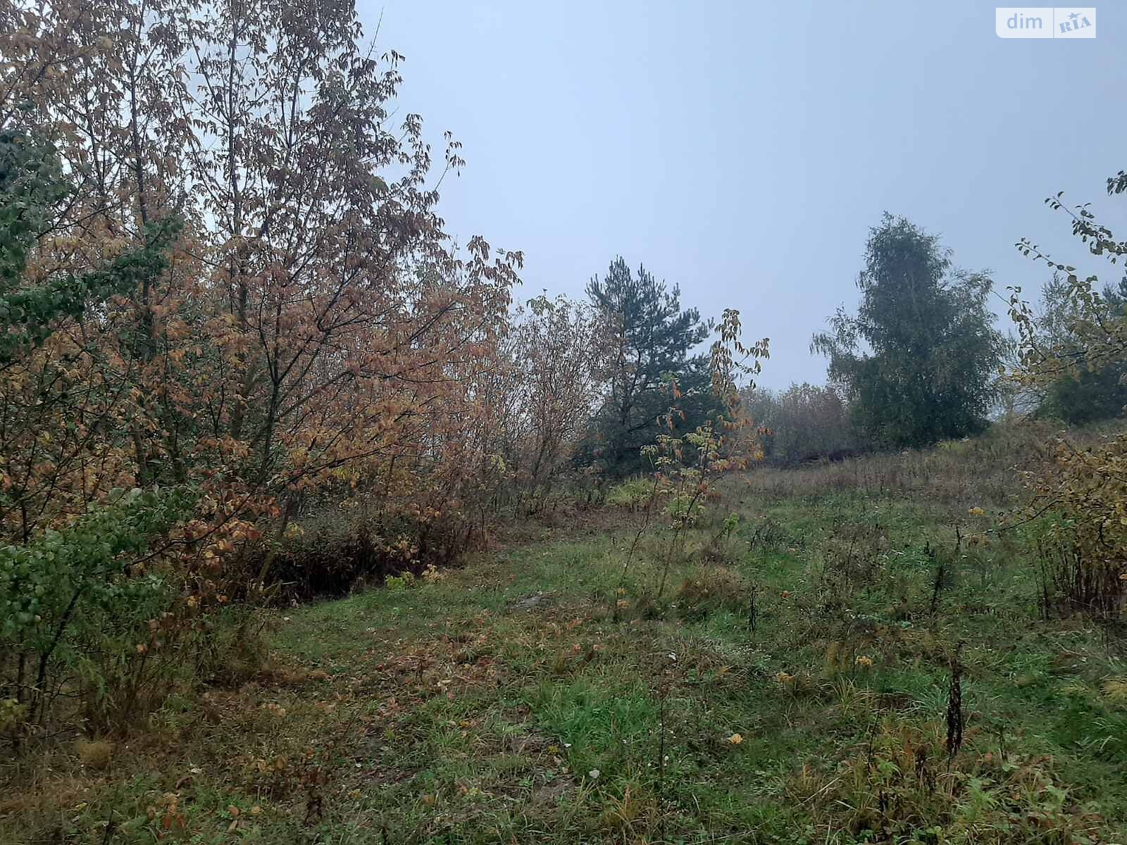 Аренда земли сельскохозяйственного назначения в Добрине, цена: 3 520 грн за объект фото 1