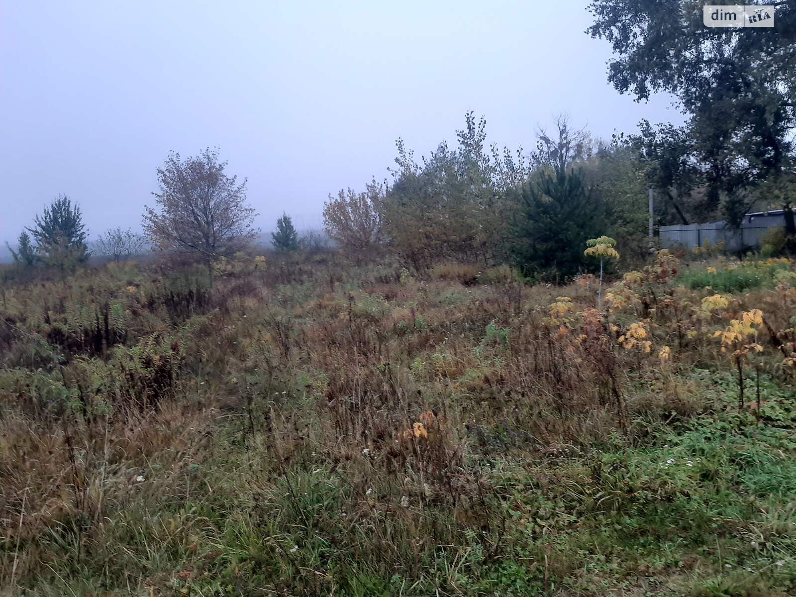 Аренда земли сельскохозяйственного назначения в Добрине, цена: 3 520 грн за объект фото 1