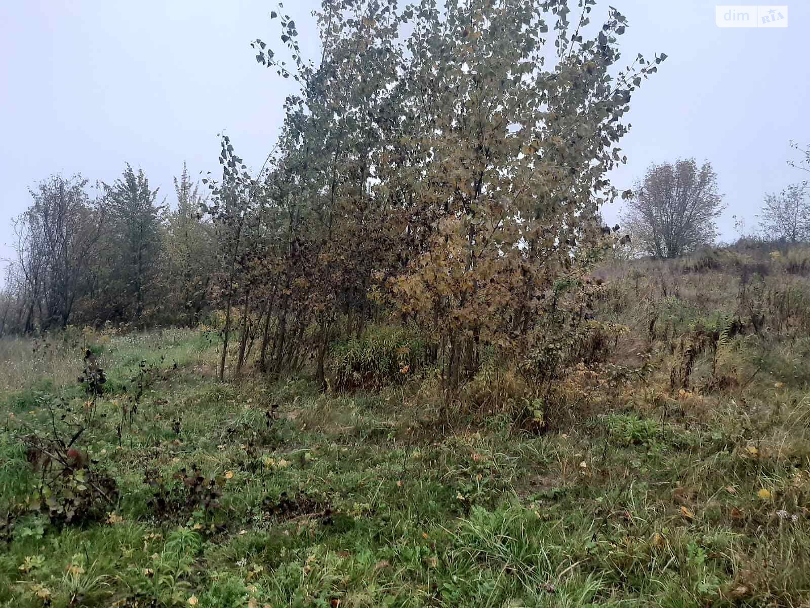 Аренда земли сельскохозяйственного назначения в Добрине, цена: 3 520 грн за объект фото 1