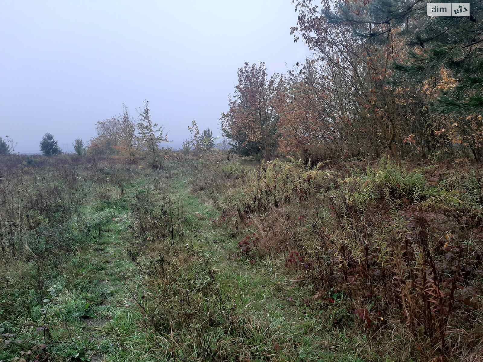 Аренда земли сельскохозяйственного назначения в Добрине, цена: 3 520 грн за объект фото 1