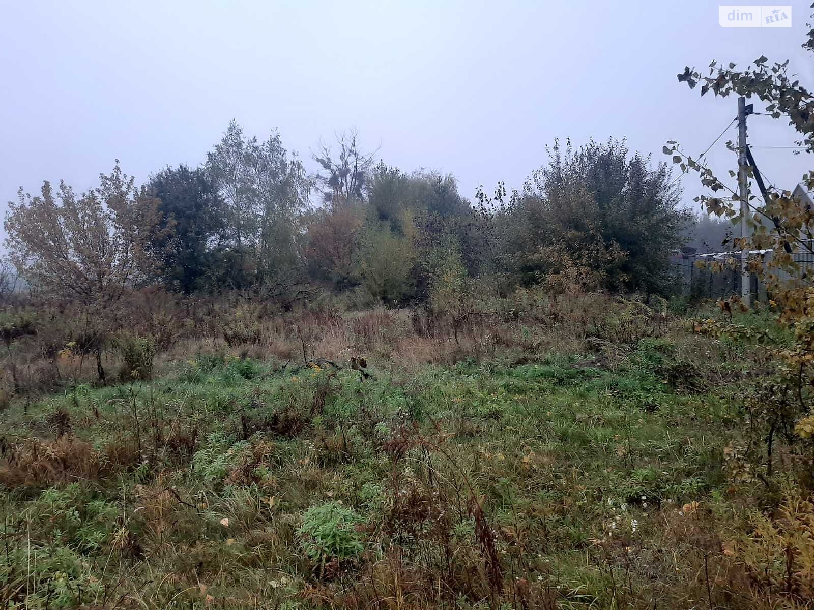 Аренда земли сельскохозяйственного назначения в Добрине, цена: 3 520 грн за объект фото 1