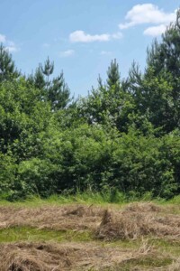 Оренда землі сільськогосподарського призначення в Домашові, ціна: 37 123 грн за об’єкт фото 1