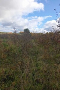 Аренда земли сельскохозяйственного назначения в Дворце, цена: 86 385 грн за объект фото 1