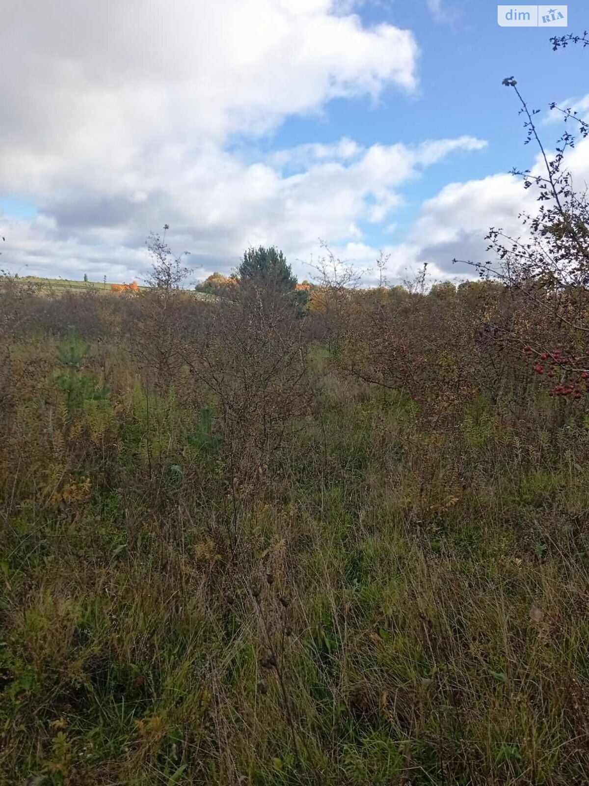 Аренда земли сельскохозяйственного назначения в Дворце, цена: 86 385 грн за объект фото 1
