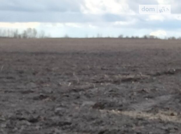 Оренда землі сільськогосподарського призначення в селі Дідівщина, ціна: 2 397 004 грн за об’єкт фото 1 Оренда землі сільськогосподарського призначення в селі Дідівщина, ціна: 2 397 004 грн за об’єкт фото 1
