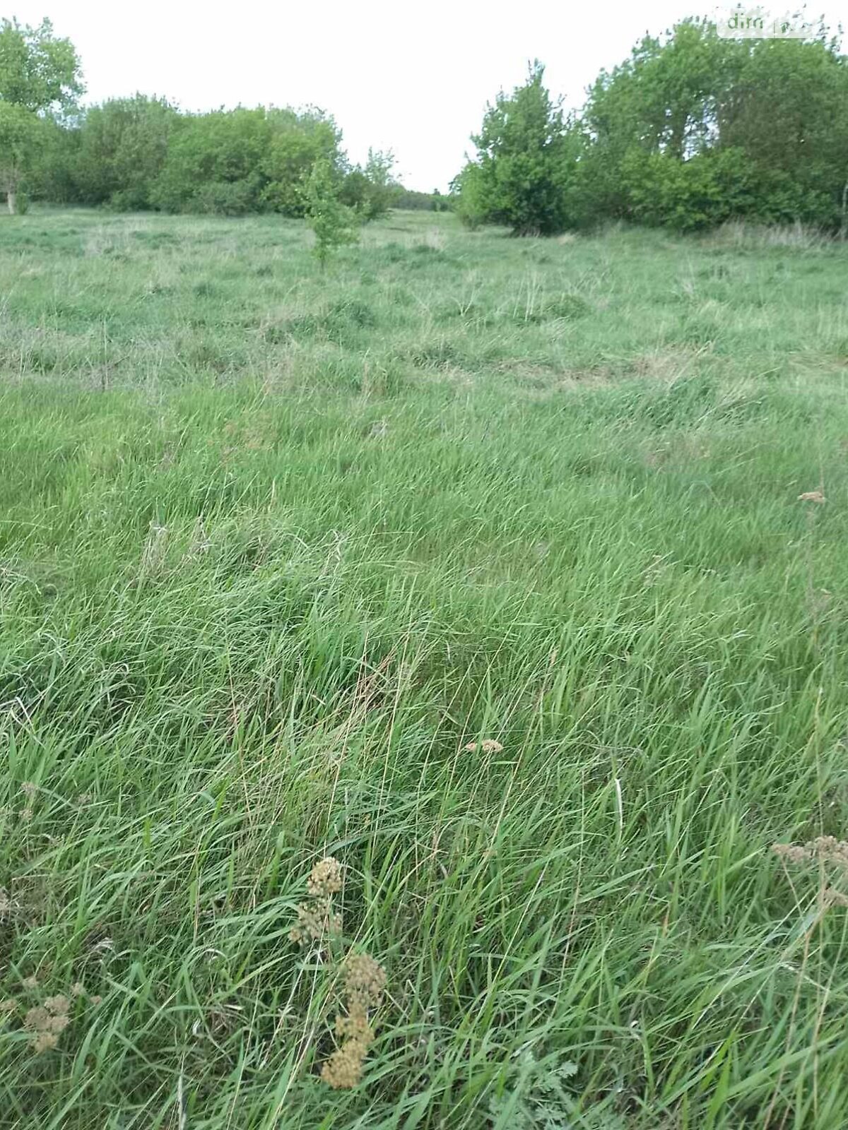 Аренда земли сельскохозяйственного назначения в Филиповичах, цена: 5 994 грн за объект фото 1 Аренда земли сельскохозяйственного назначения в Филиповичах, цена: 5 994 грн за объект фото 1