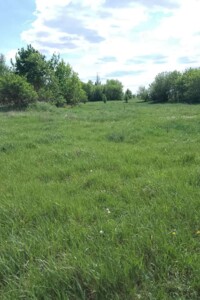 Аренда земли сельскохозяйственного назначения в Филиповичах, цена: 5 994 грн за объект фото 2