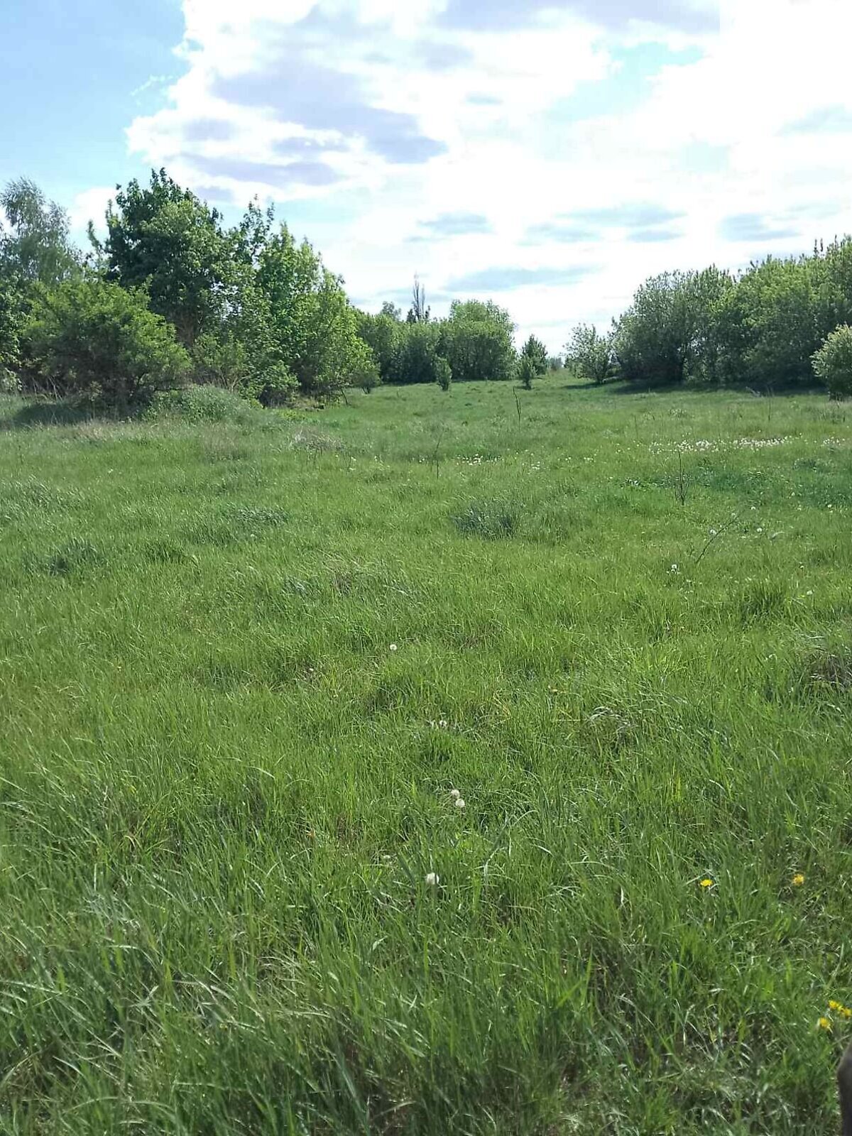 Аренда земли сельскохозяйственного назначения в Филиповичах, цена: 5 994 грн за объект фото 1 Аренда земли сельскохозяйственного назначения в Филиповичах, цена: 5 994 грн за объект фото 1