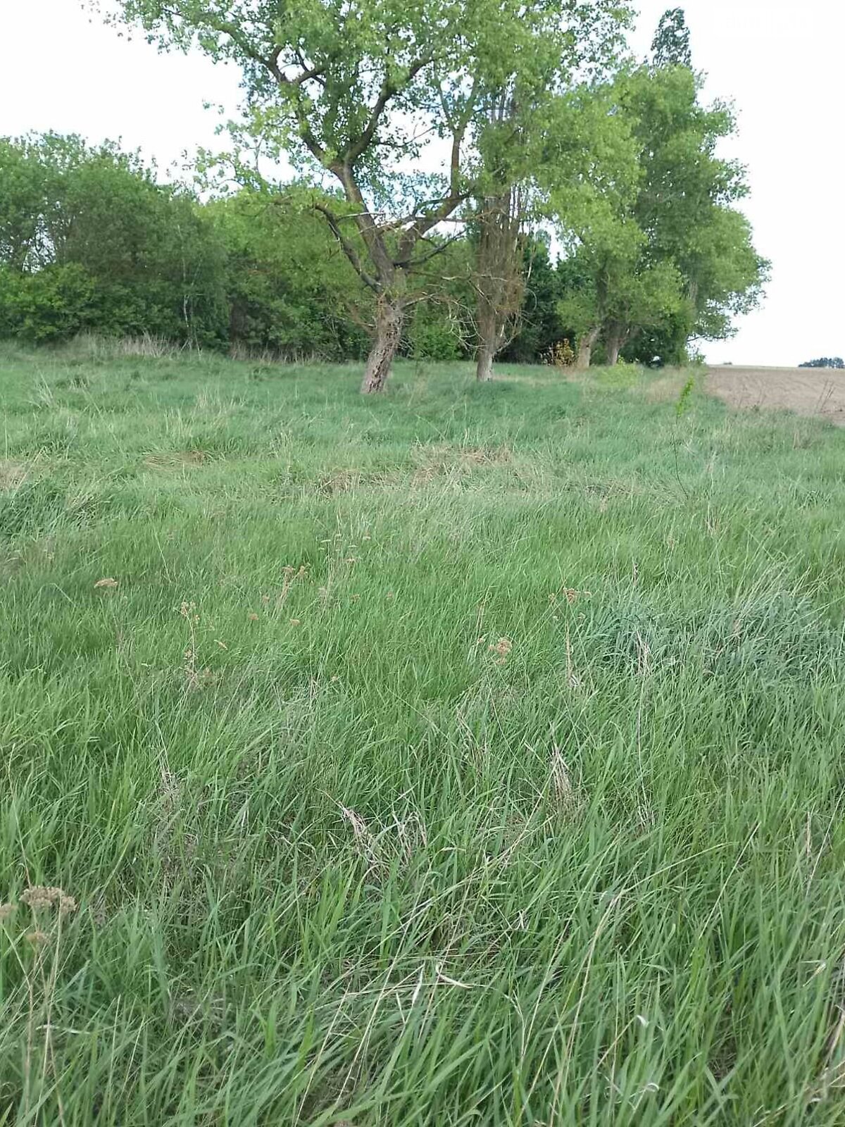 Аренда земли сельскохозяйственного назначения в Филиповичах, цена: 5 994 грн за объект фото 1 Аренда земли сельскохозяйственного назначения в Филиповичах, цена: 5 994 грн за объект фото 1