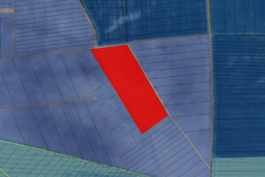 Аренда земли сельскохозяйственного назначения в Гаях-за-Рудою, цена: 83 717 грн за объект фото 1