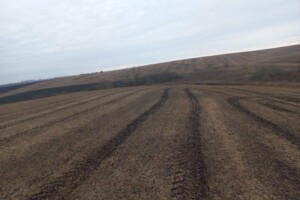 Оренда землі сільськогосподарського призначення в Гаврилівці, ціна: 5 071 грн за об’єкт фото 2