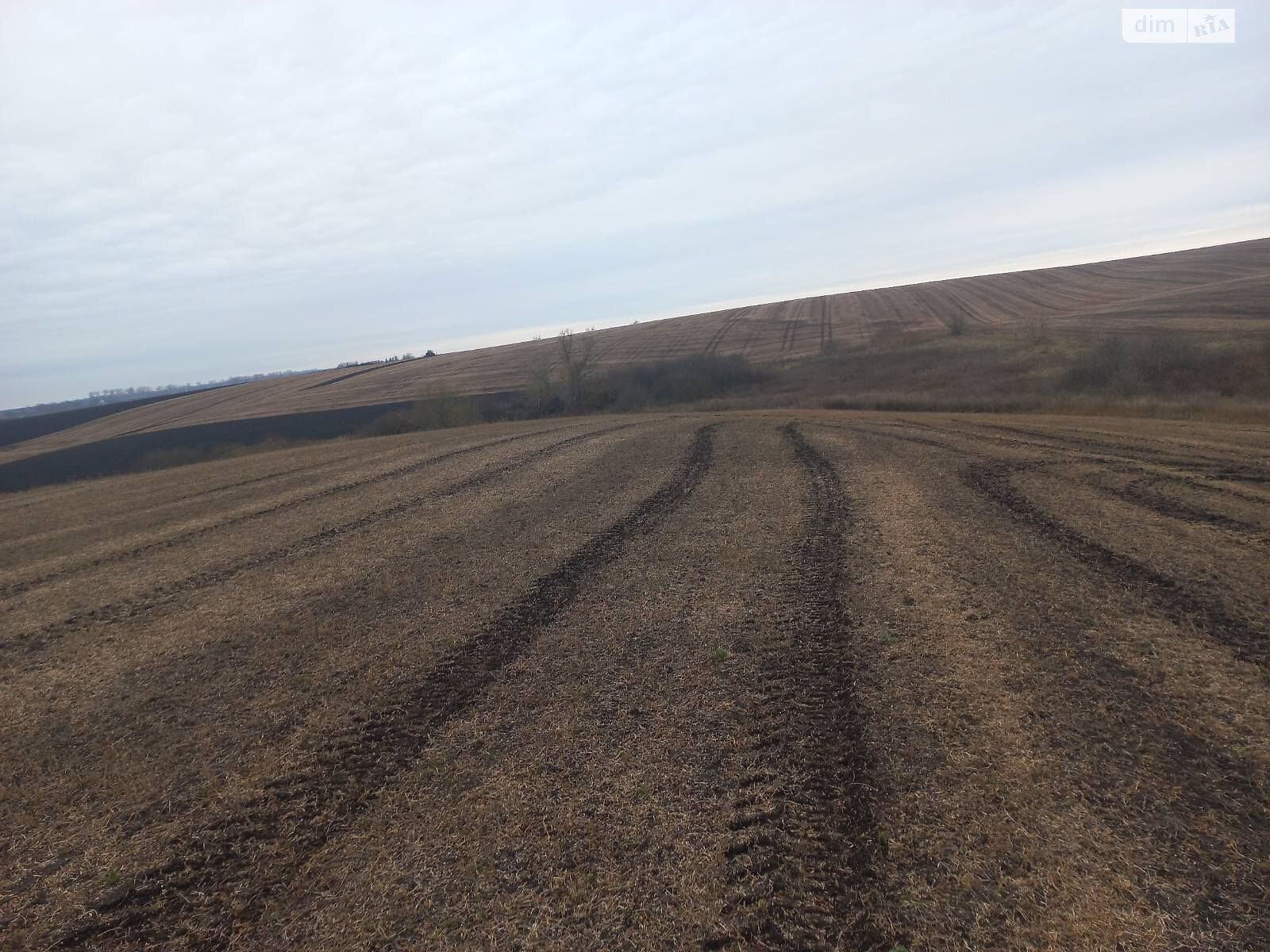 Оренда землі сільськогосподарського призначення в Гаврилівці, ціна: 5 071 грн за об’єкт фото 1