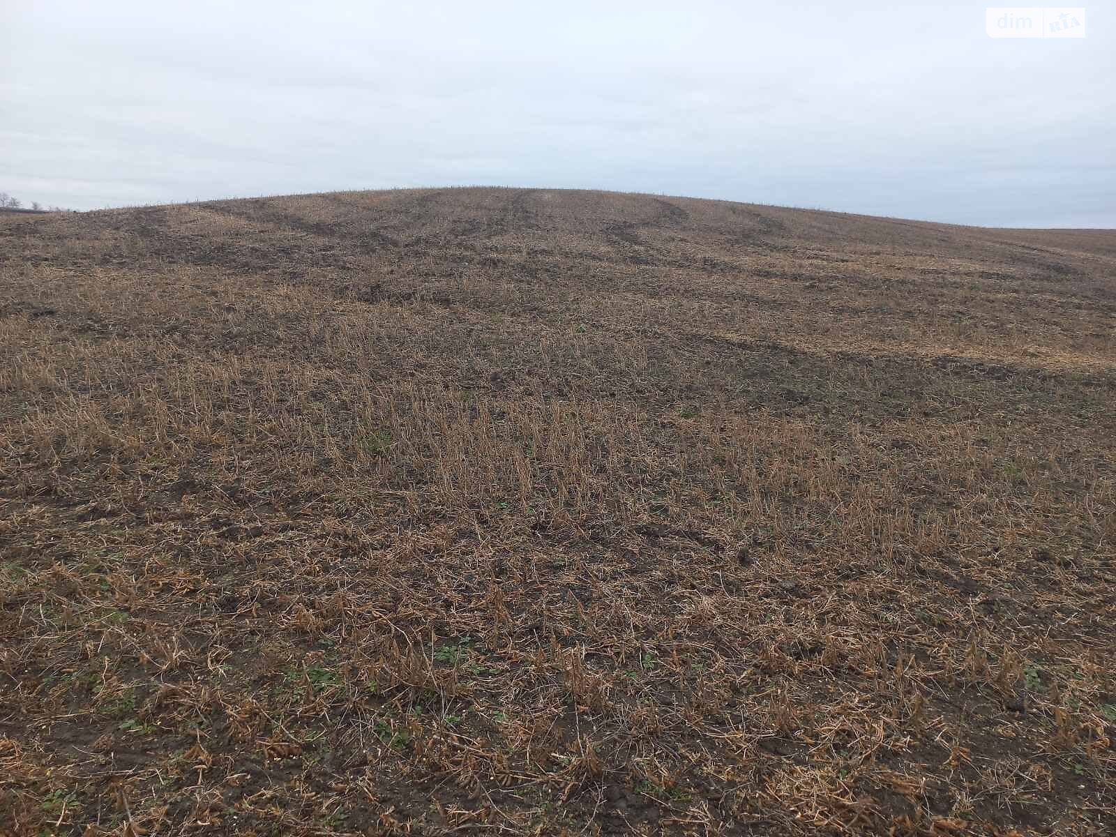 Оренда землі сільськогосподарського призначення в Гаврилівці, ціна: 5 071 грн за об’єкт фото 1