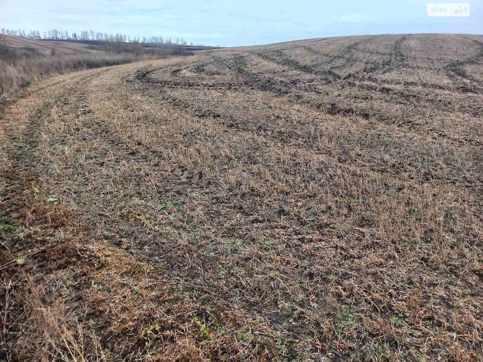 Оренда землі сільськогосподарського призначення в Гаврилівці, ціна: 5 071 грн за об’єкт фото 1