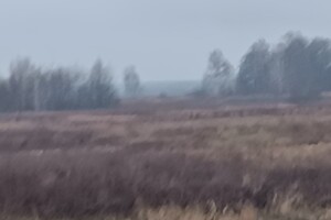 Оренда землі сільськогосподарського призначення в Глядині, ціна: 23 963 грн за об’єкт фото 1 Оренда землі сільськогосподарського призначення в Глядині, ціна: 23 963 грн за об’єкт фото 1