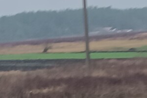 Аренда земли сельскохозяйственного назначения в Глядине, цена: 19 645 грн за объект фото 2 Аренда земли сельскохозяйственного назначения в Глядине, цена: 19 645 грн за объект фото 2