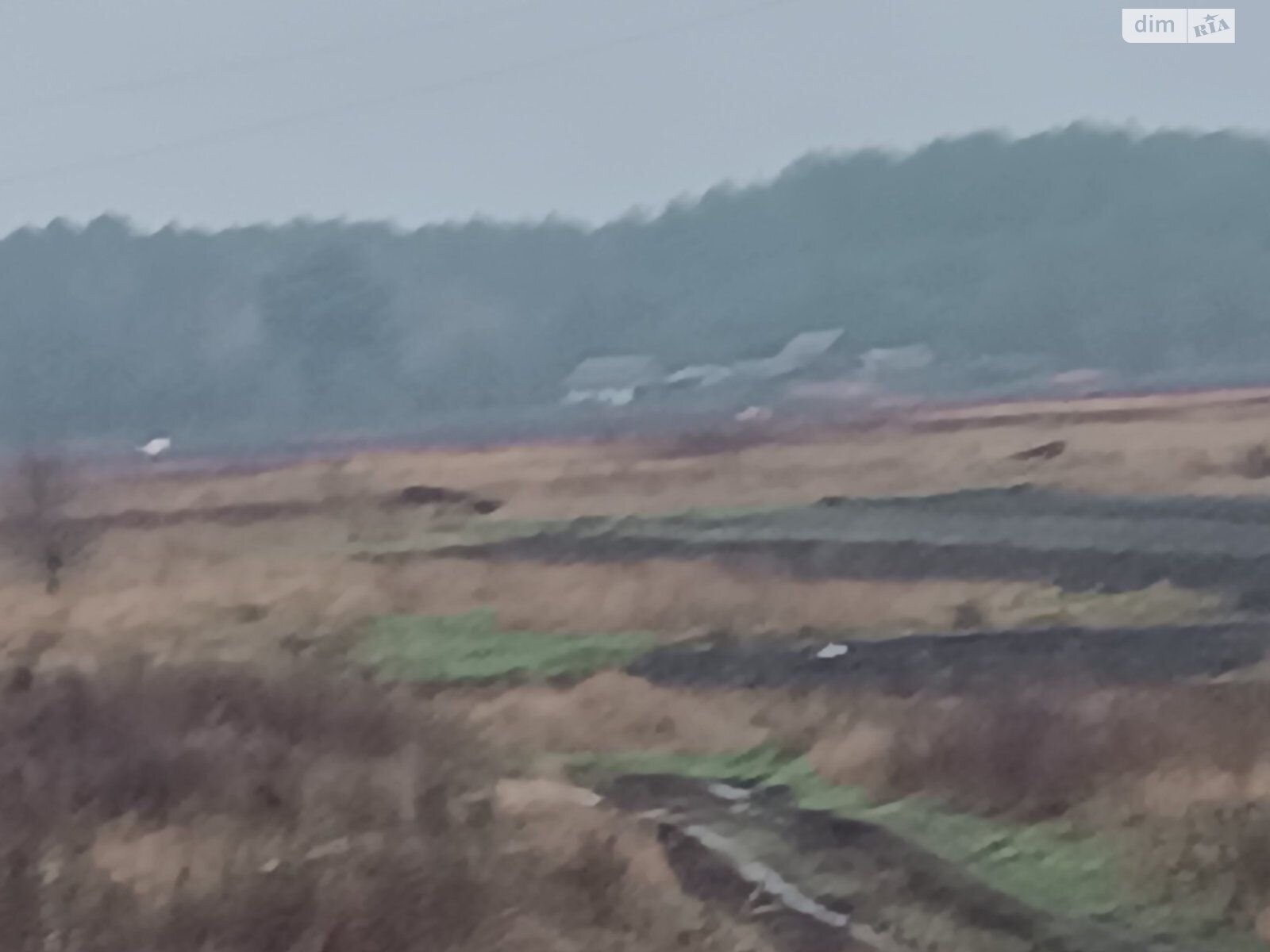 Аренда земли сельскохозяйственного назначения в Глядине, цена: 19 645 грн за объект фото 1 Аренда земли сельскохозяйственного назначения в Глядине, цена: 19 645 грн за объект фото 1