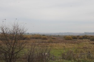 Аренда земли сельскохозяйственного назначения в Голишове, цена: 2 721 грн за объект фото 1