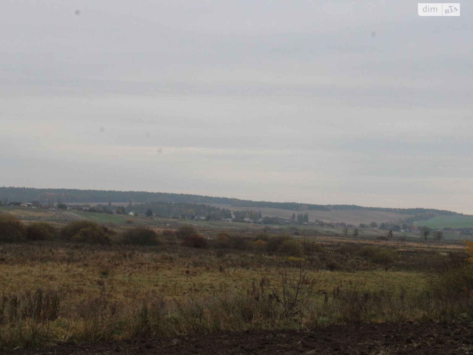 Оренда землі сільськогосподарського призначення в Голишові, ціна: 3 643 грн за об’єкт фото 1 Оренда землі сільськогосподарського призначення в Голишові, ціна: 3 643 грн за об’єкт фото 1