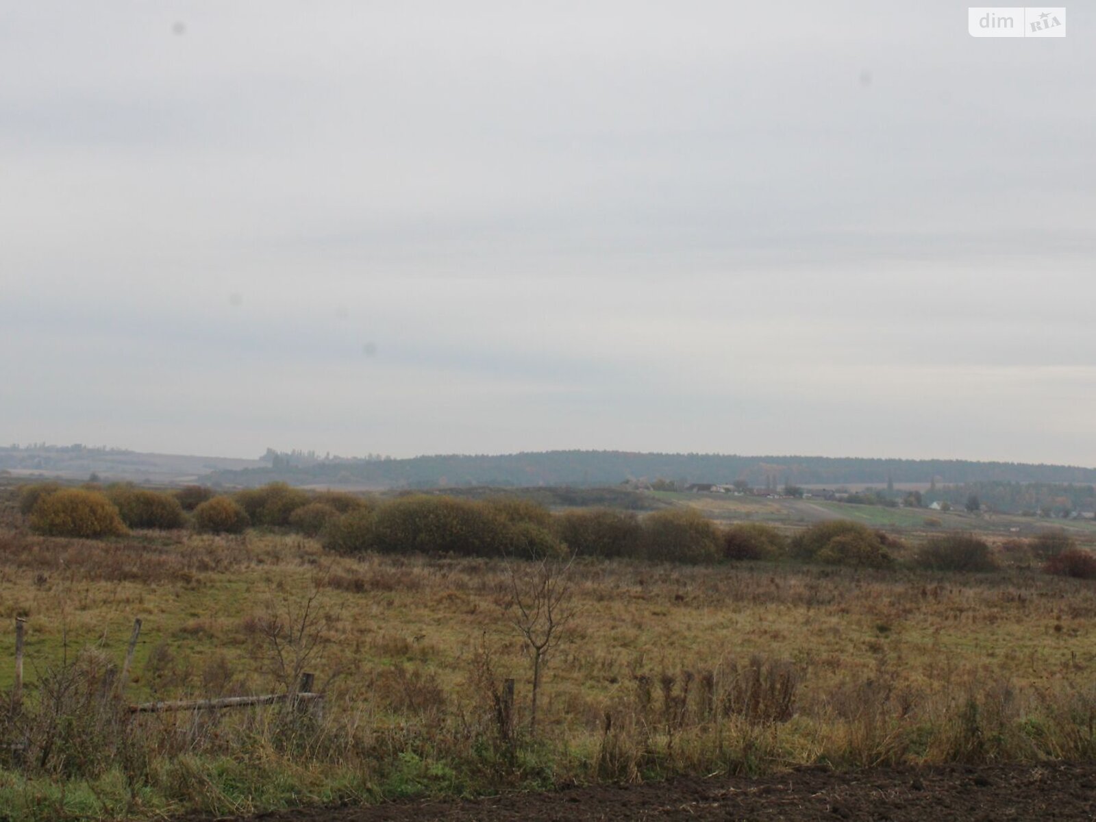 Оренда землі сільськогосподарського призначення в Голишові, ціна: 3 643 грн за об’єкт фото 1 Оренда землі сільськогосподарського призначення в Голишові, ціна: 3 643 грн за об’єкт фото 1