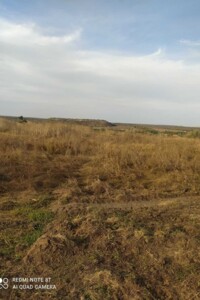 Оренда землі сільськогосподарського призначення в Головківці, ціна: 14 938 грн за об’єкт фото 1 Оренда землі сільськогосподарського призначення в Головківці, ціна: 14 938 грн за об’єкт фото 1