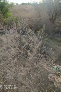 Оренда землі сільськогосподарського призначення в Головківці, ціна: 11 816 грн за об’єкт фото 1 Оренда землі сільськогосподарського призначення в Головківці, ціна: 11 816 грн за об’єкт фото 1