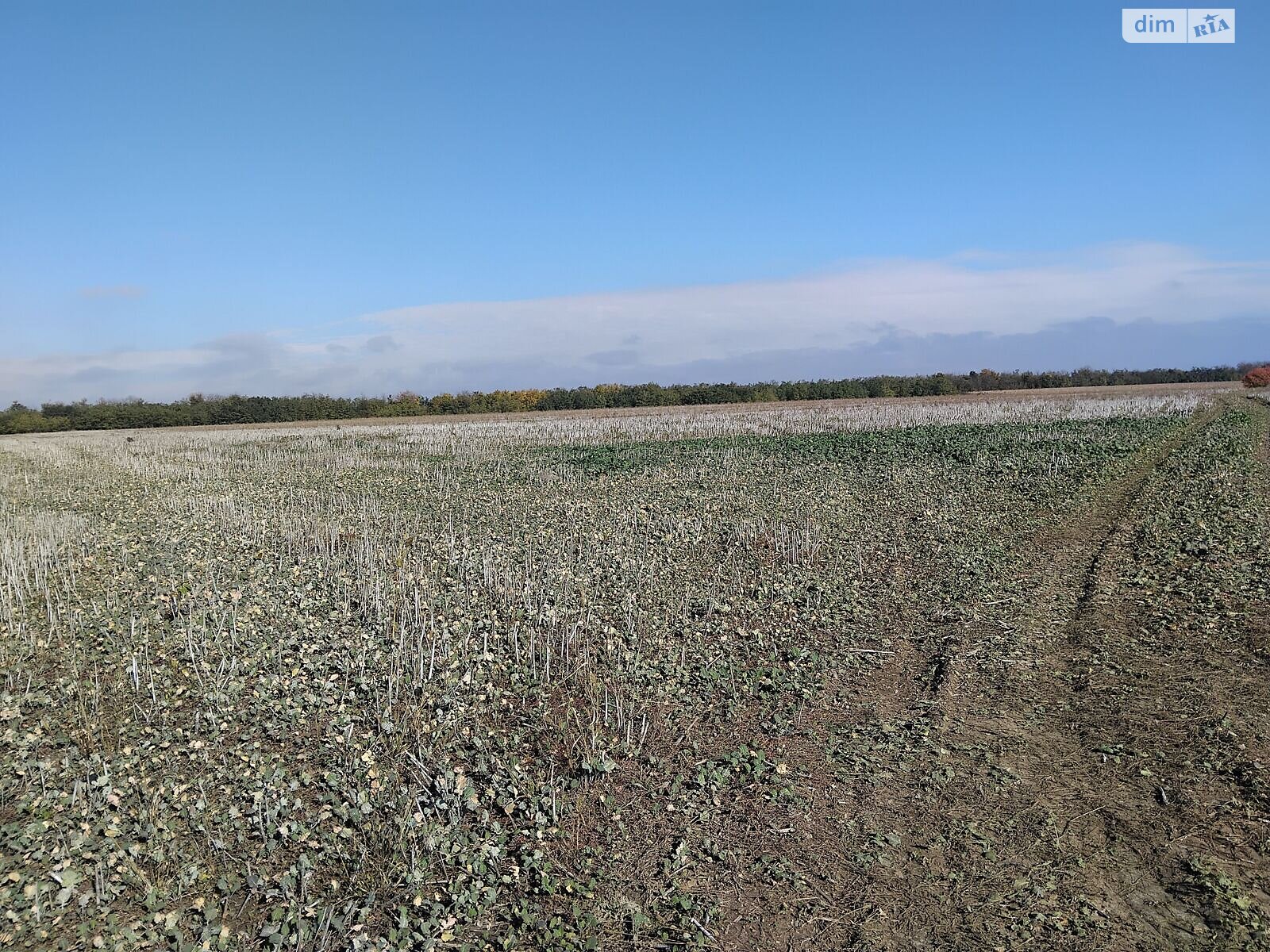 Оренда землі сільськогосподарського призначення в Гораївці, ціна: 40 843 грн за об’єкт фото 1