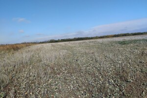 Оренда землі сільськогосподарського призначення в Гораївці, ціна: 40 843 грн за об’єкт фото 2