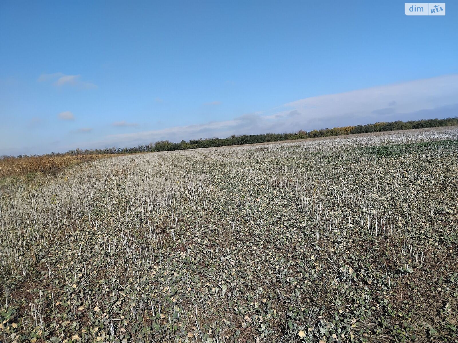 Оренда землі сільськогосподарського призначення в Гораївці, ціна: 40 843 грн за об’єкт фото 1