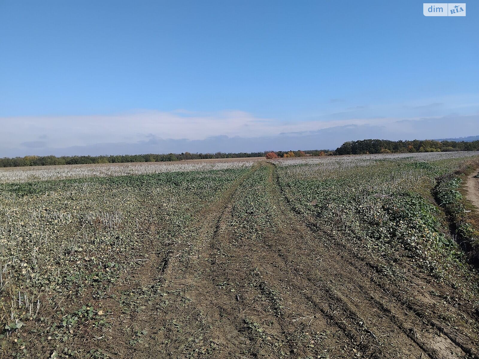 Оренда землі сільськогосподарського призначення в Гораївці, ціна: 40 843 грн за об’єкт фото 1