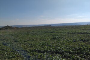 Оренда землі сільськогосподарського призначення в Гораївці, ціна: 24 530 грн за об’єкт фото 1 Оренда землі сільськогосподарського призначення в Гораївці, ціна: 24 530 грн за об’єкт фото 1