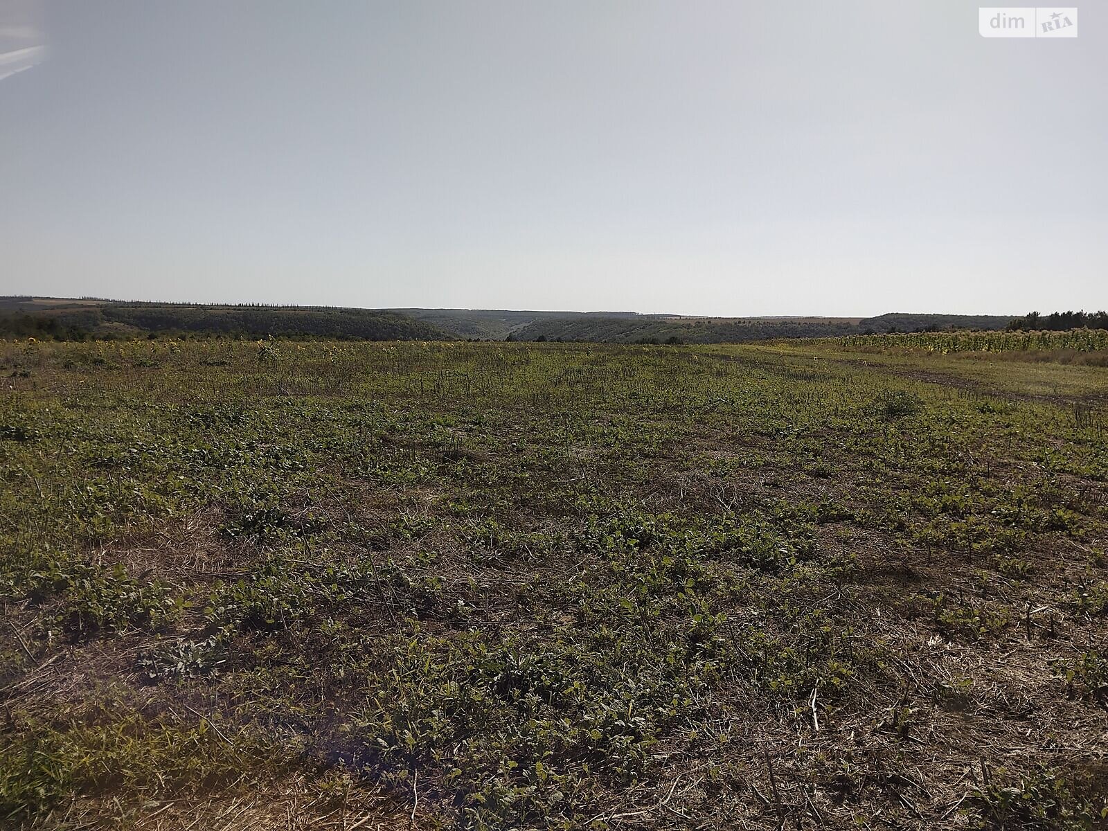 Оренда землі сільськогосподарського призначення в Гораївці, ціна: 24 530 грн за об’єкт фото 1 Оренда землі сільськогосподарського призначення в Гораївці, ціна: 24 530 грн за об’єкт фото 1
