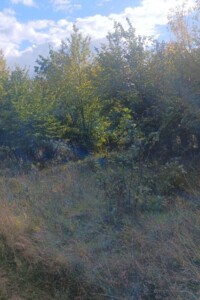 Оренда землі сільськогосподарського призначення в Гордівцях, ціна: 22 576 грн за об’єкт фото 2