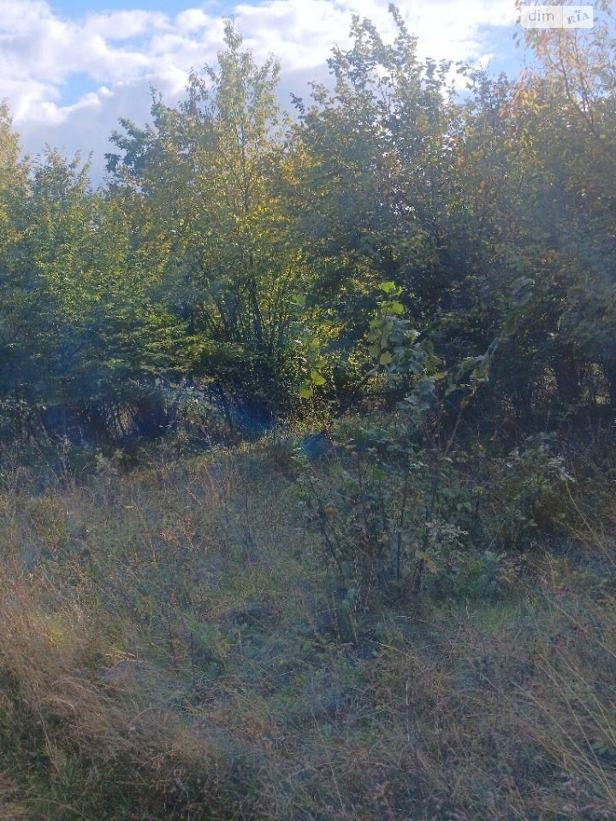 Оренда землі сільськогосподарського призначення в Гордівцях, ціна: 22 576 грн за об’єкт фото 1