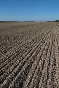 Аренда земли сельскохозяйственного назначения в Горычеве, цена: 46 727 грн за объект фото 1 Аренда земли сельскохозяйственного назначения в Горычеве, цена: 46 727 грн за объект фото 1