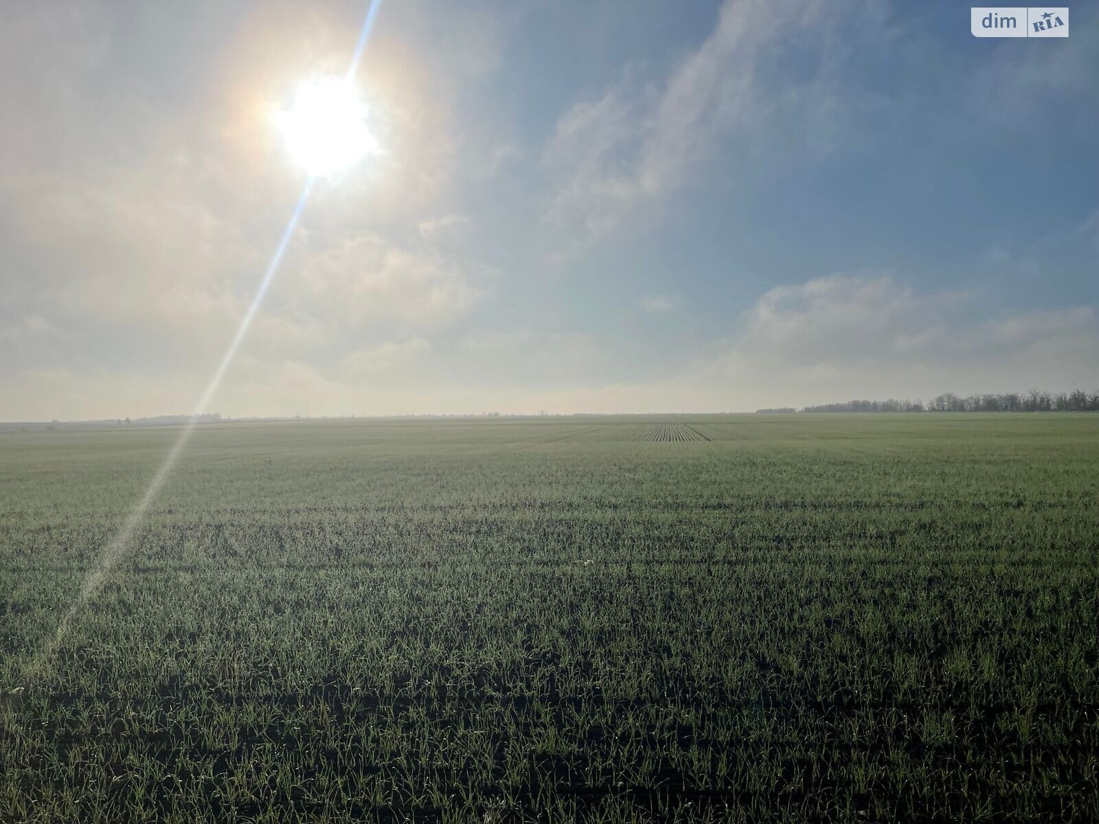 Аренда земли сельскохозяйственного назначения в Грейгово, цена: 59 036 грн за объект фото 1 Аренда земли сельскохозяйственного назначения в Грейгово, цена: 59 036 грн за объект фото 1