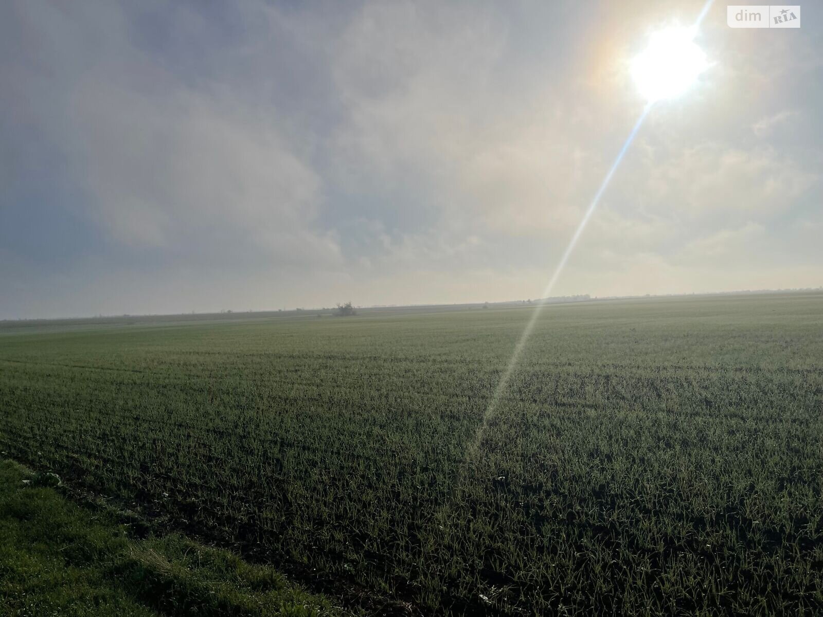 Оренда землі сільськогосподарського призначення в Грейгово, ціна: 59 041 грн за об’єкт фото 1 Оренда землі сільськогосподарського призначення в Грейгово, ціна: 59 041 грн за об’єкт фото 1