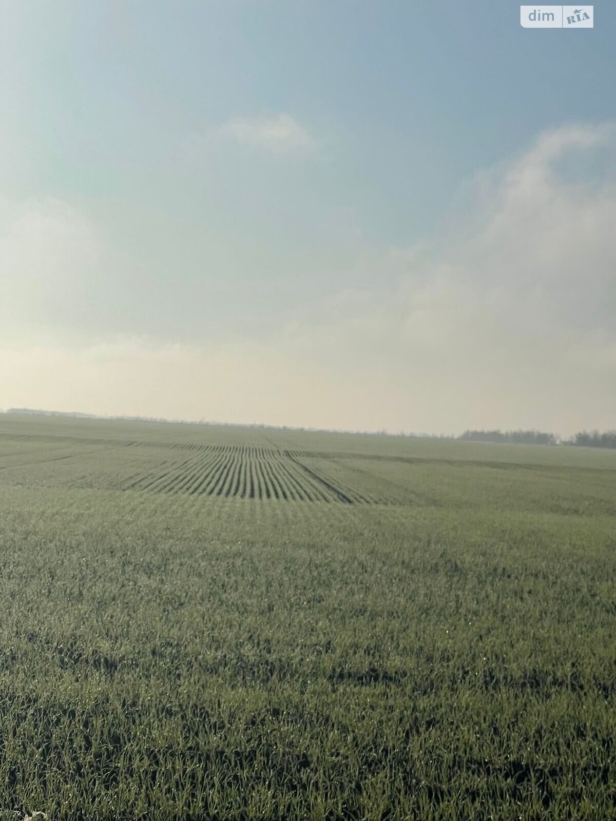 Оренда землі сільськогосподарського призначення в Грейгово, ціна: 58 936 грн за об’єкт фото 1