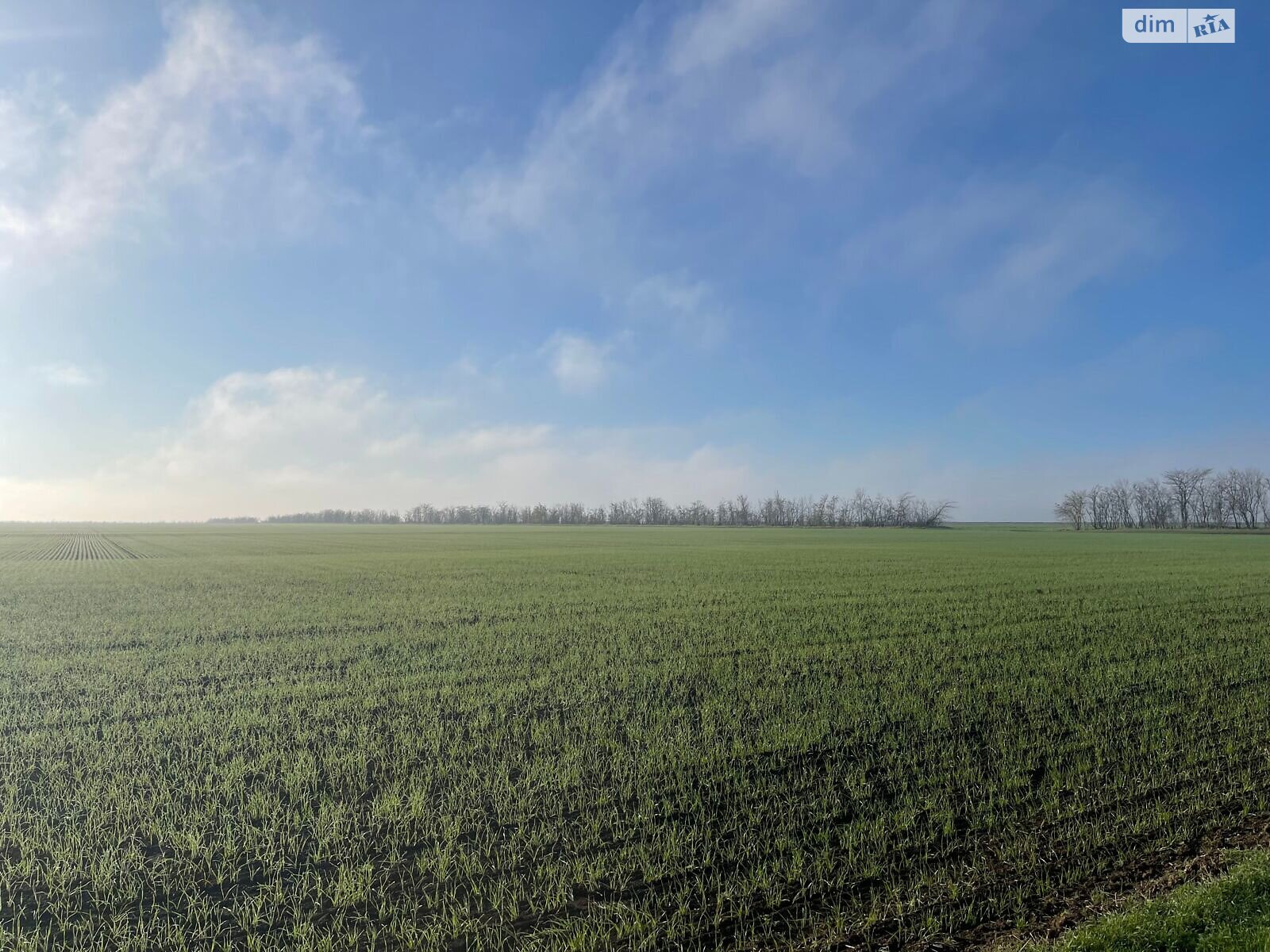 Оренда землі сільськогосподарського призначення в Грейгово, ціна: 57 936 грн за об’єкт фото 1