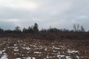 Оренда землі сільськогосподарського призначення в Грузливці, ціна: 12 124 грн за об’єкт фото 1