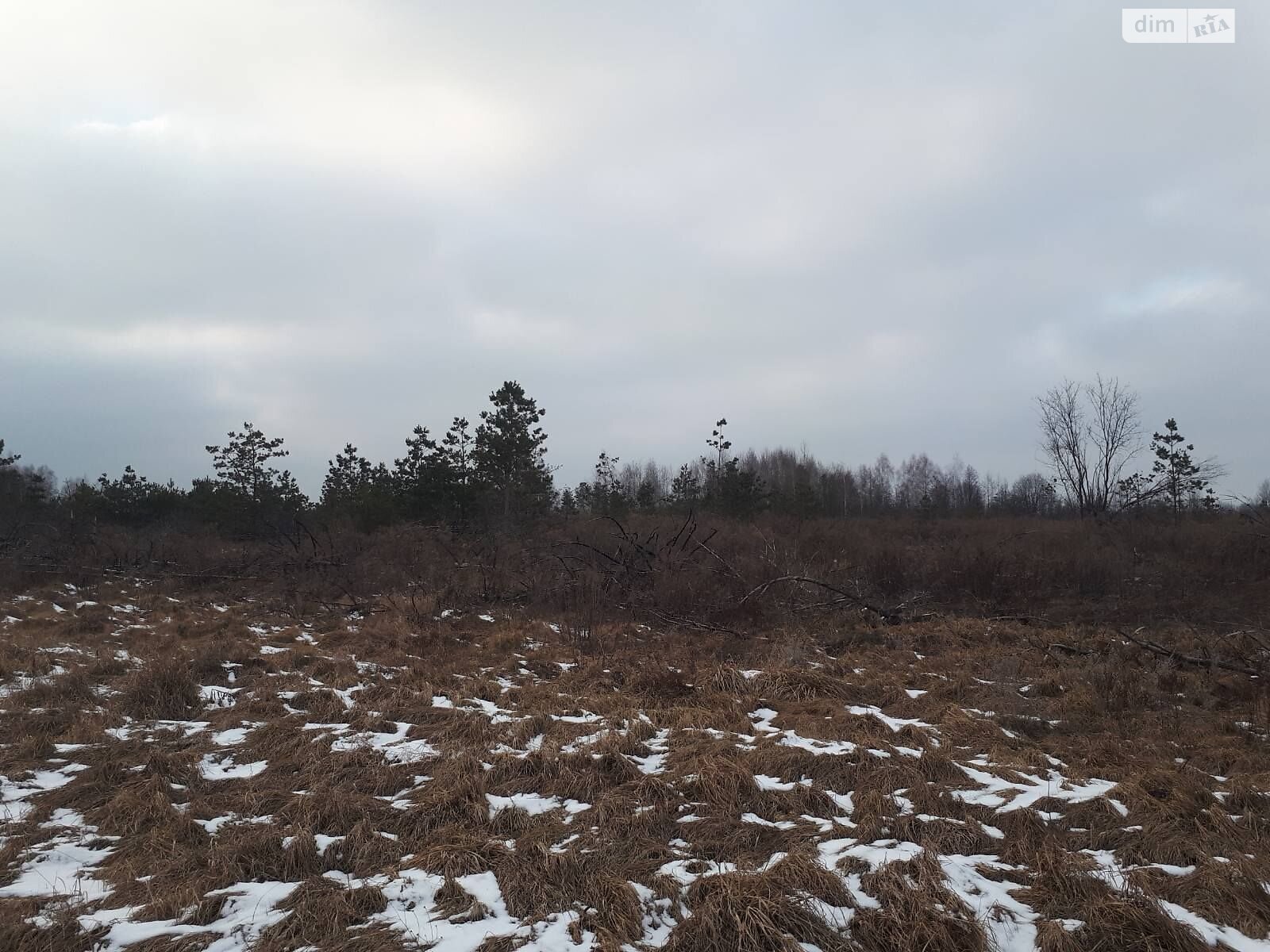 Оренда землі сільськогосподарського призначення в Грузливці, ціна: 12 124 грн за об’єкт фото 1