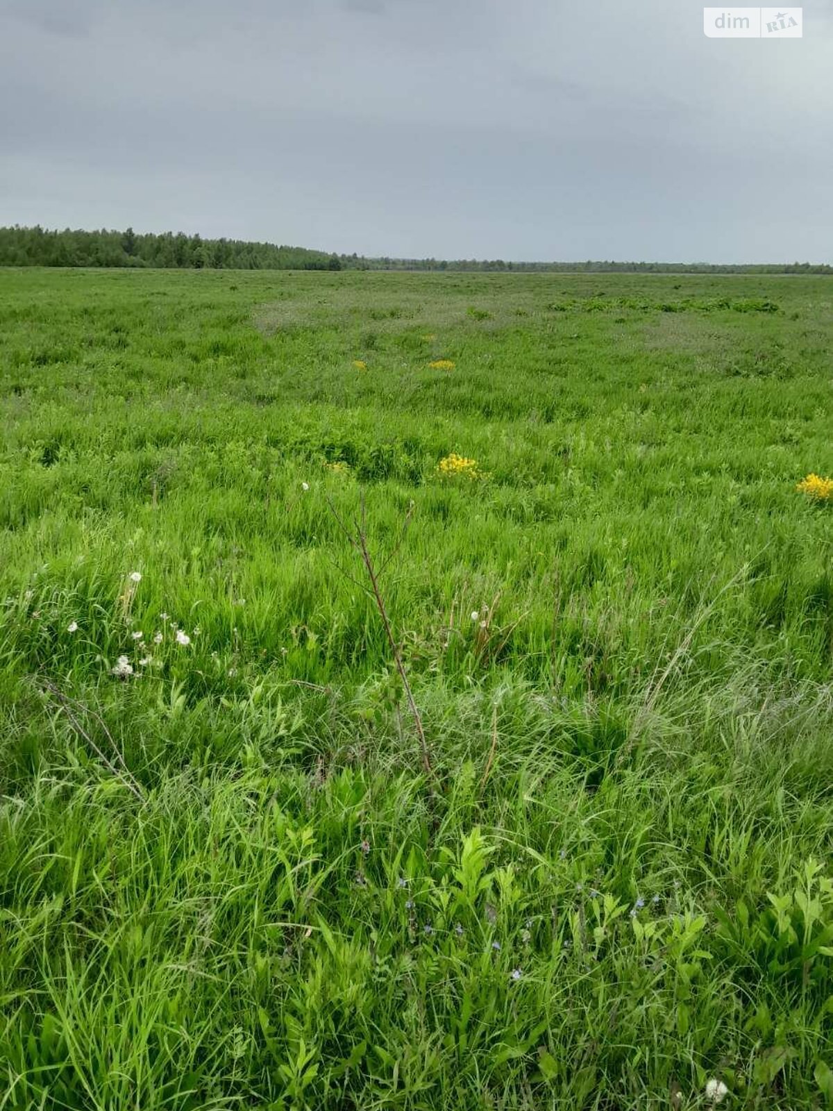Оренда землі сільськогосподарського призначення в Гузєєві, ціна: 18 009 грн за об’єкт фото 1